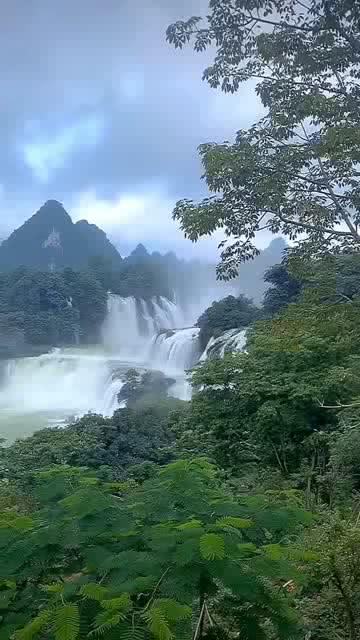探索中超土豪欠债194亿元,苏宁泰达之后,这一球队能否起死回生?,了解知识星球平台的魅力